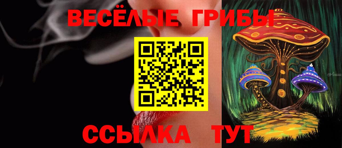 Галлюциногенные грибы Psilocybe Маркс