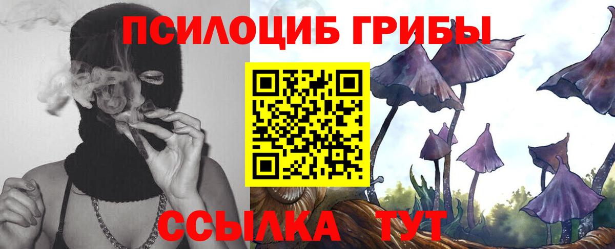 Галлюциногенные грибы MAGIC MUSHROOMS  Вход с VPN  Псилоцибиновые грибы прущие грибы  даркнет сайт  Маркс 